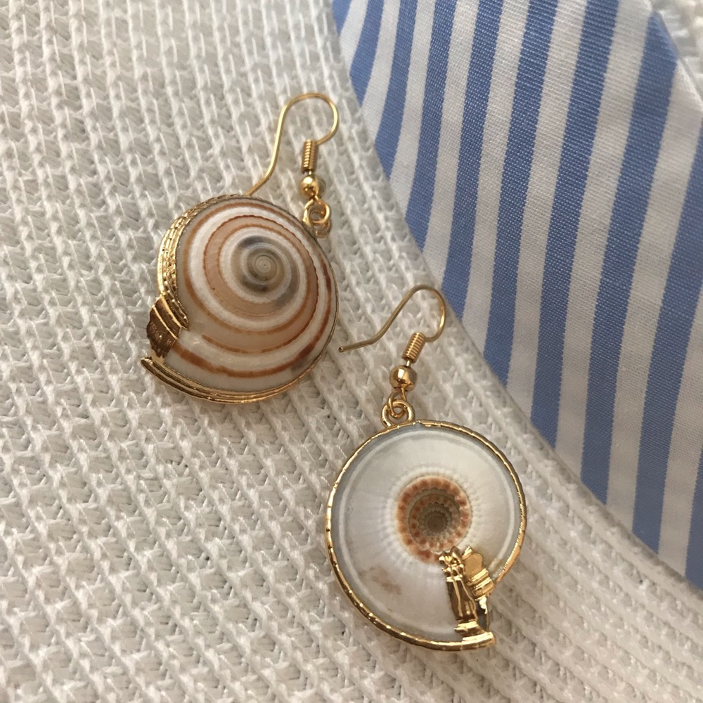 Seashell earrings